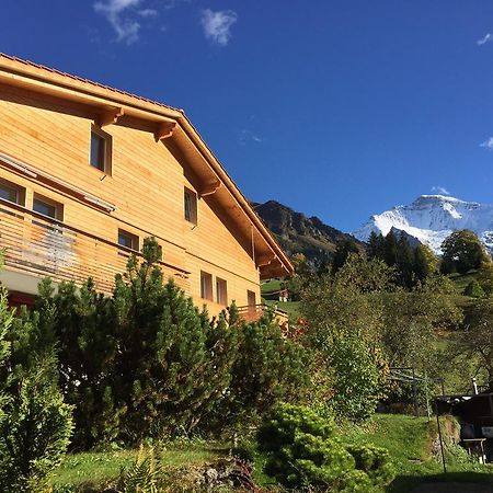 Apartament Chalet Viola Wengen Zewnętrze zdjęcie