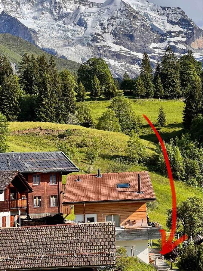 Apartament Chalet Viola Wengen Zewnętrze zdjęcie