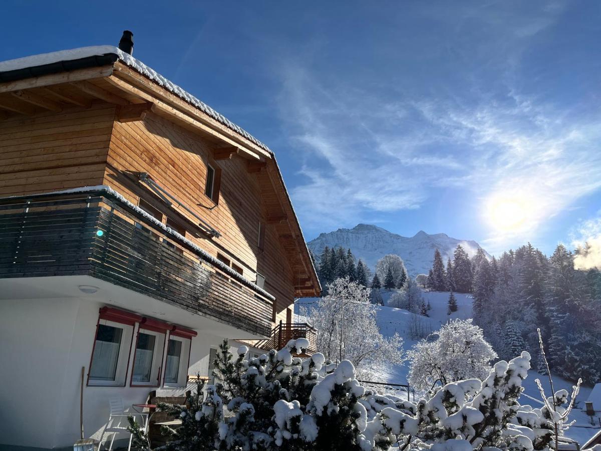 Apartament Chalet Viola Wengen Zewnętrze zdjęcie