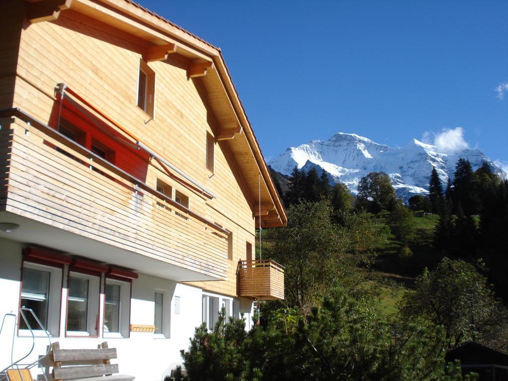 Apartament Chalet Viola Wengen Zewnętrze zdjęcie