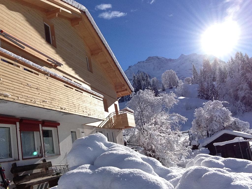 Apartament Chalet Viola Wengen Zewnętrze zdjęcie