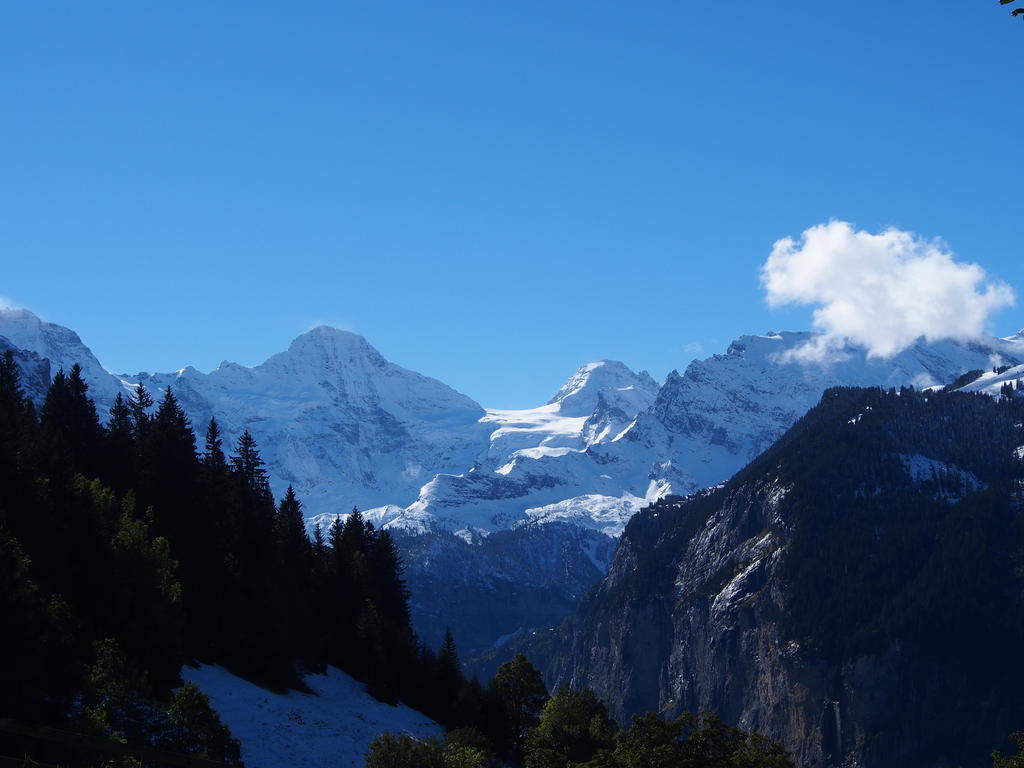 Apartament Chalet Viola Wengen Zewnętrze zdjęcie