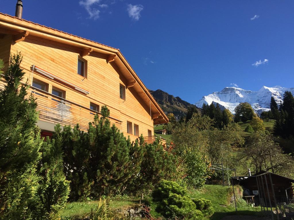 Apartament Chalet Viola Wengen Zewnętrze zdjęcie